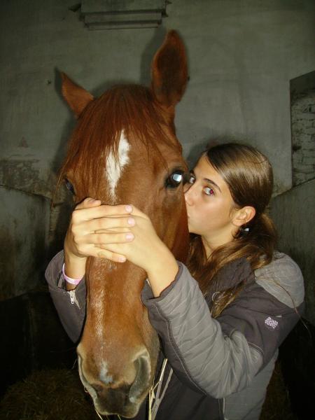 UN AMOUR DE CHEVAL
